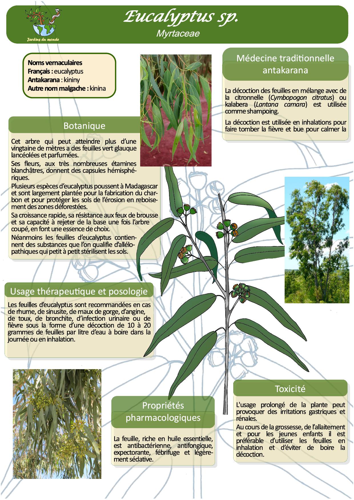 PDF) Les principales plantes de couverture utilisées à Madagascar